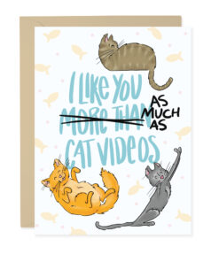 I Like You & Cat Videos Card